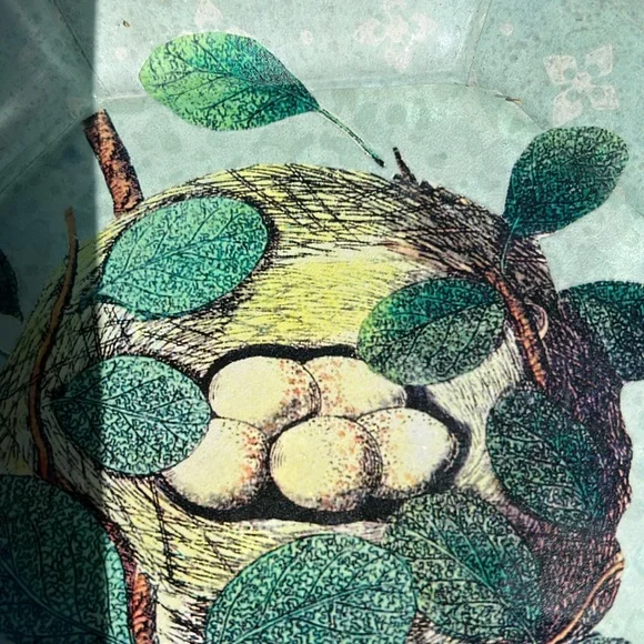 Three Charming Bird Nest Decorative Decoupage Plates